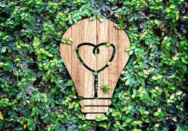 10 Ways You Can Help The Environment Today