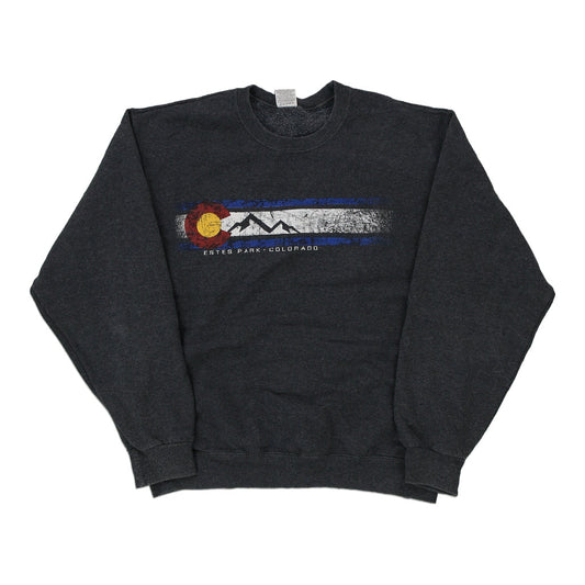 Vintage grey Eestes Park Colorado Jerzees Sweatshirt - mens medium